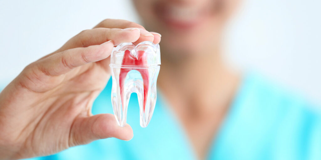 Root Canal Therapy – Why Are People Afraid of Root Canals?
